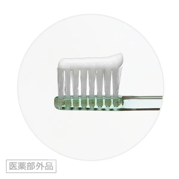 歯磨き粉の使用量目安
